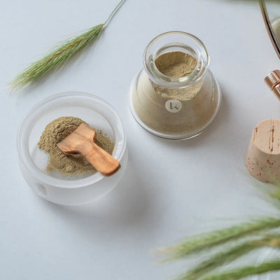 Discovery Kit - Intro To Slow Beauty & Clear Skin gift set