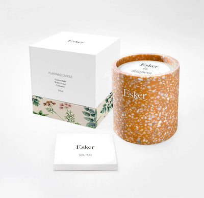 Terracotta Plantable Candle candle