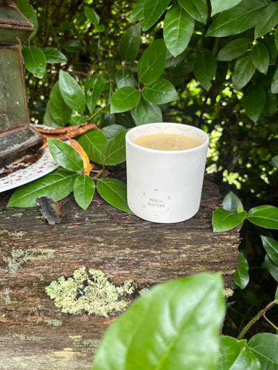 Pagua Bay Fragrance Luxury Beeswax Candle candle