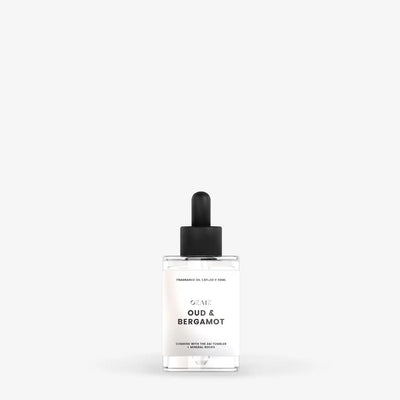 ZAI Himalayan Rock Salt Diffuser In Citron home fragrance