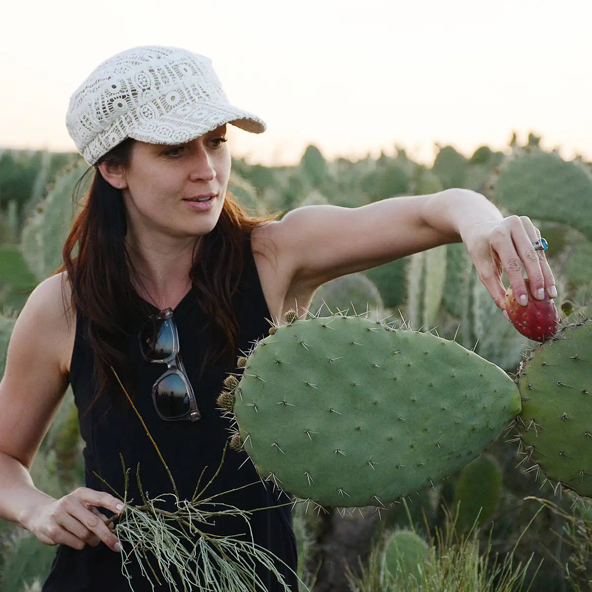 Barie | Prickly Pear Cactus Seed Oil moisturizer