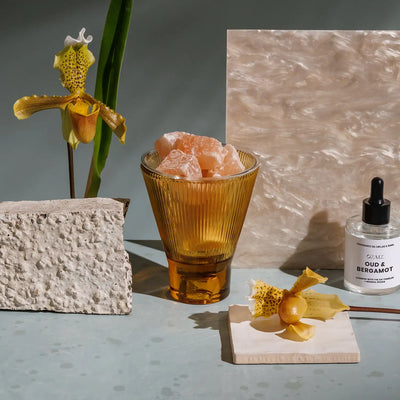 ZAI Himalayan Rock Salt Diffuser In Citron home fragrance